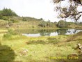 /album/fotogaleria/lagunas-de-gacheta6-jpg/